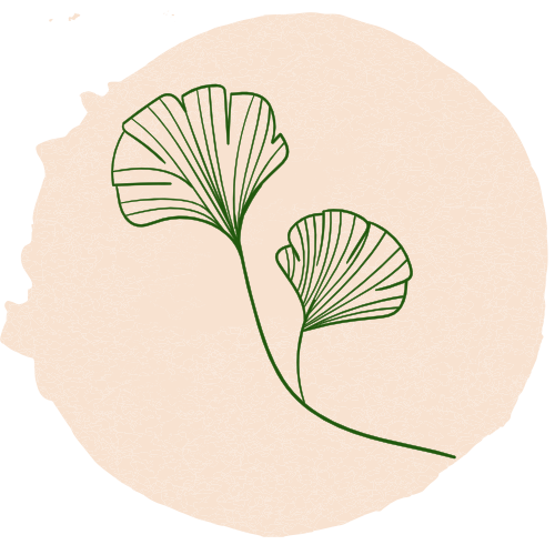 gingko icon